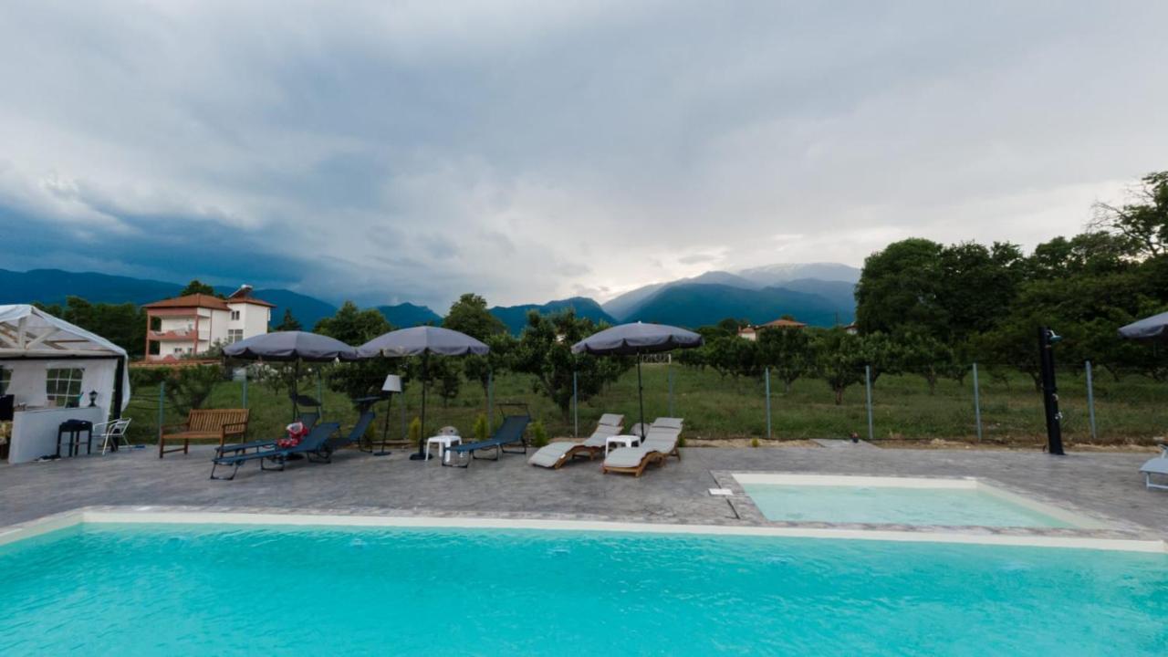 Ntinasvillage Leptokarya (Pieria)