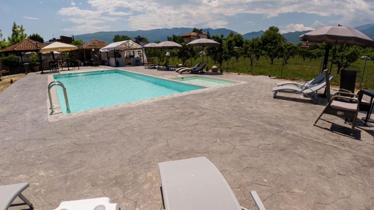 Apartment Ntinasvillage Leptokarya (Pieria)